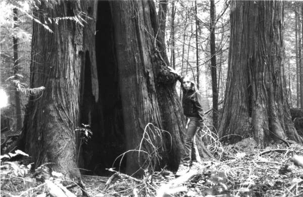 esquimalt-lagoon-douglas-fir