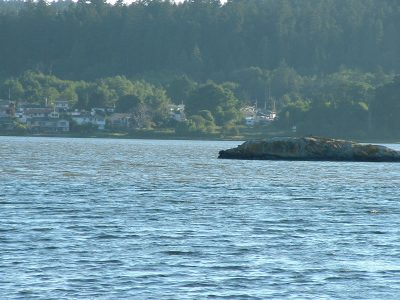 esquimalt_lagoon-14