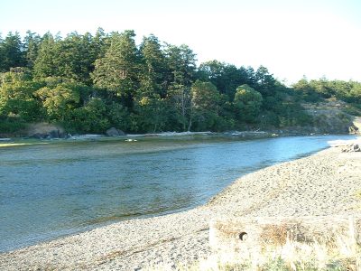 esquimalt_lagoon-18