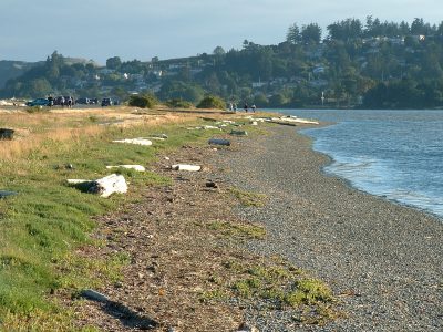 esquimalt_lagoon-19