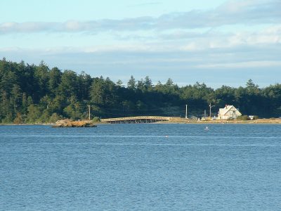 esquimalt_lagoon-22