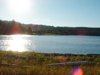 esquimalt_lagoon-6
