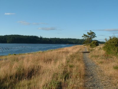 esquimalt_lagoon-7