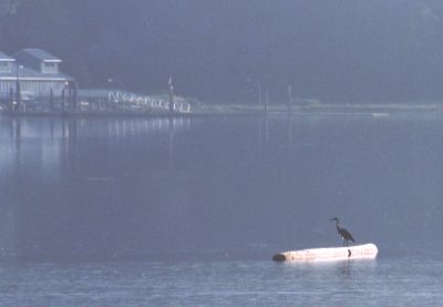 heron-log