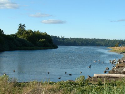Esquimalt Lagoon