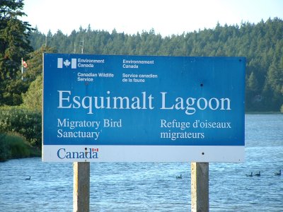 Esquimalt Lagoon